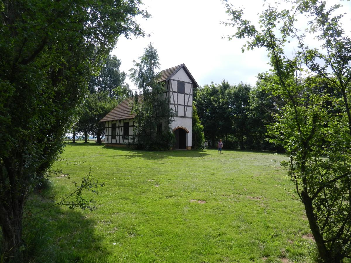 Landhotel "Zum Nicolaner" Grossweitzschen Exterior foto